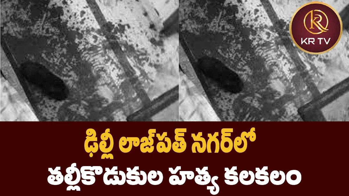 ఢిల్లీ లాజ్పత్ నగర్లో తల్లీకొడుకుల హత్య కలకలం